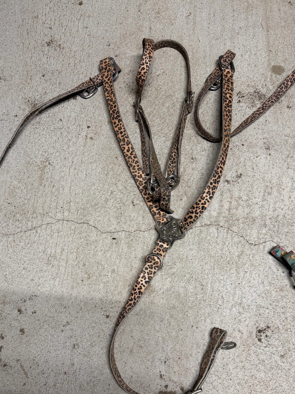 Leopard Print nylon Bridle Harness - Brown